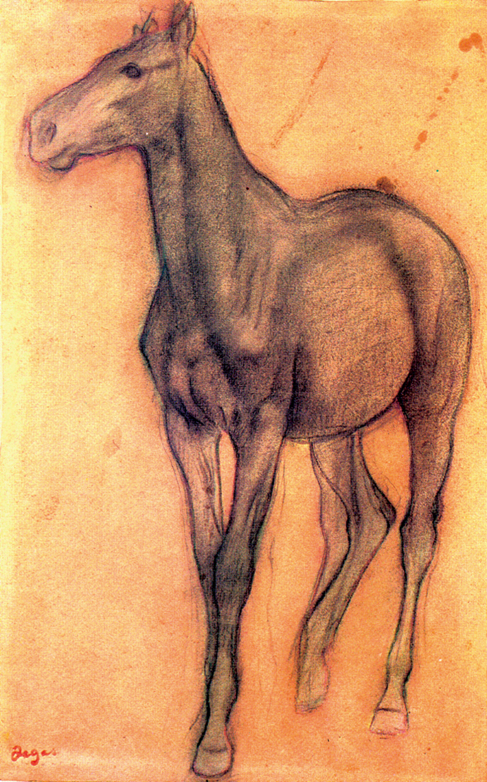 Horse